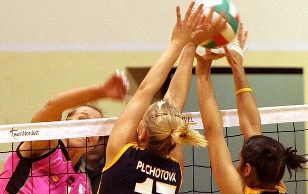 Bagaimana Cara Membaca Peluang Handicap Set Bola Voli Seperti Profesional?