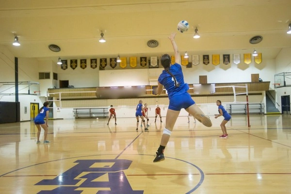 Apakah Pasar Service Run Kunci Keuntungan Bola Voli?